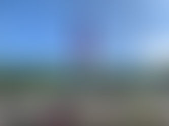 Raising the National Flag