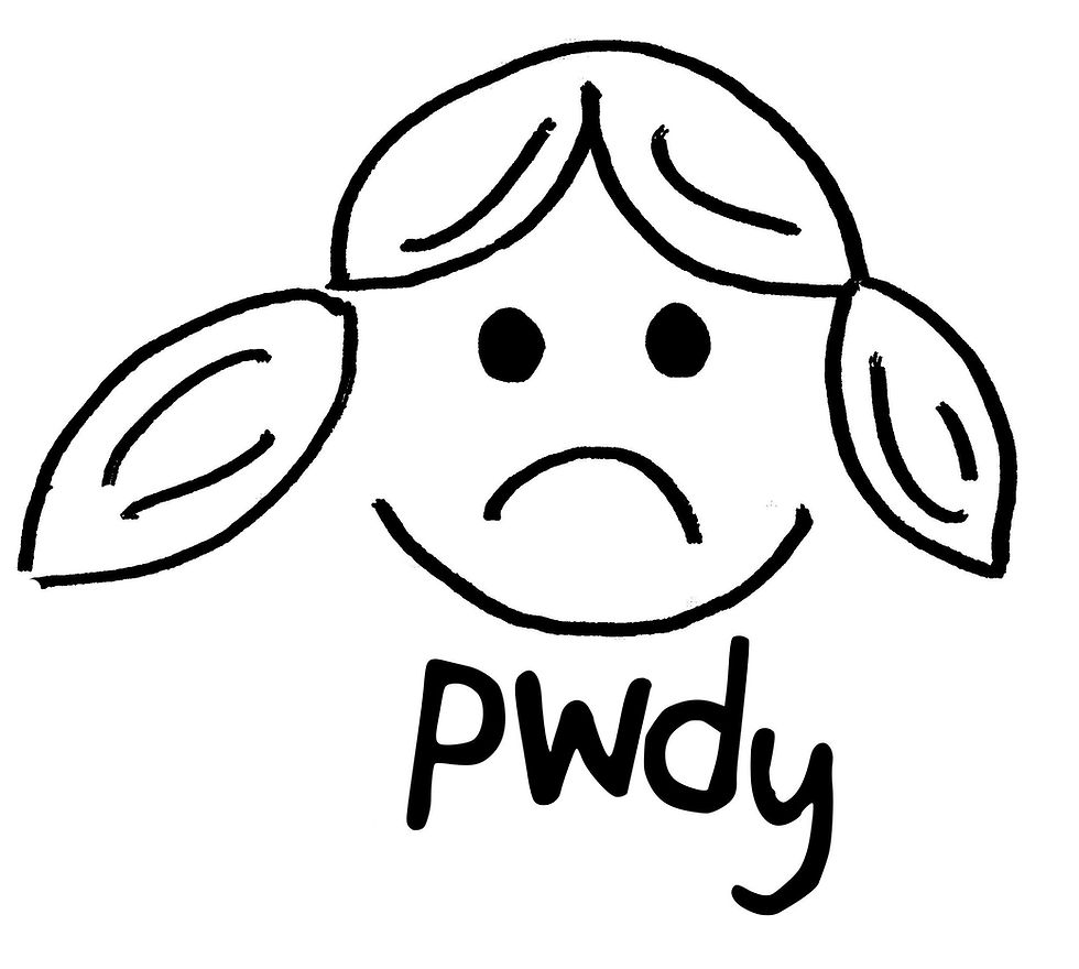 pwdy.jpeg