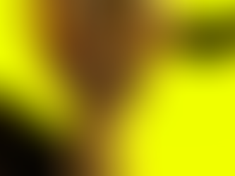 Blink Respawn 2025 - Warzone RD