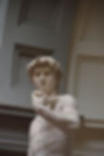 Michelangelo's David