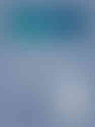 Finding Her Voice receives praise from judges at Feathered Quill Book Awards