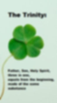 photo of shamrock