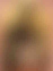 Cimabue, Madonna di castelfiorentino