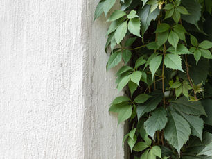 Unraveling the Ivy League: A Casual Guide for High School Students and Parents