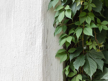 espaço verde na cidade