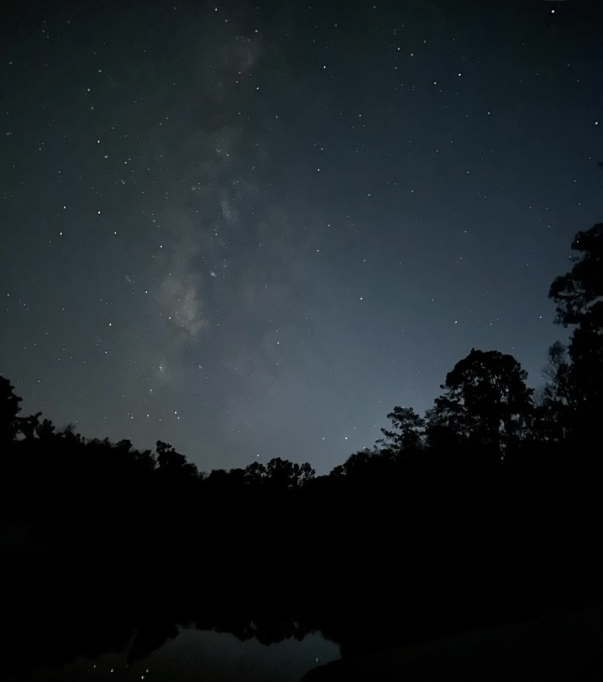 Stars and the Milky Way above a dark forest and lake
