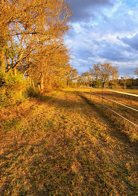 Track compressed.PNG