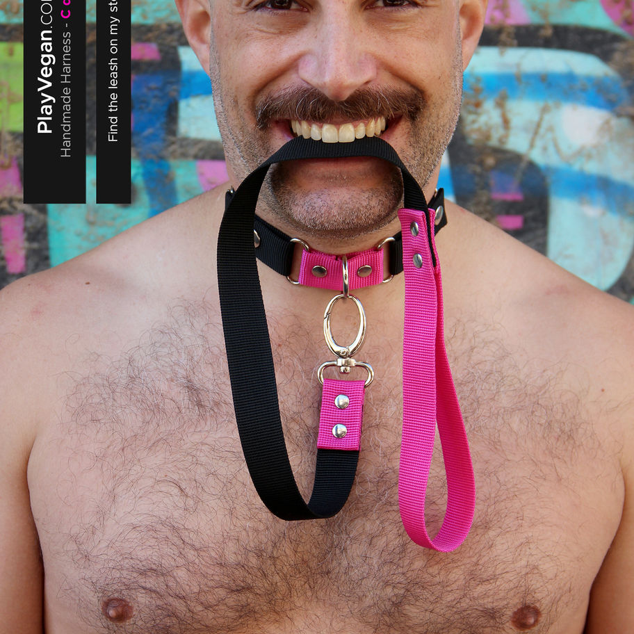 a man with a black and pink collar connected to a leash held in his teeth