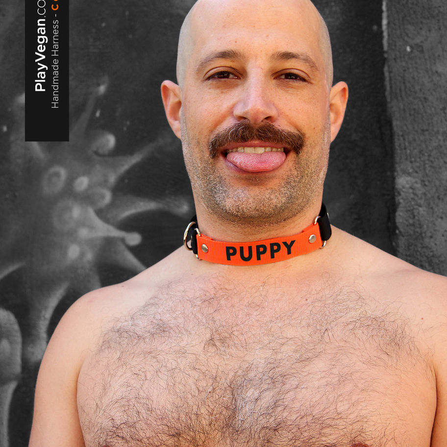hand made orange and black vegan collar with the word puppy printed in it