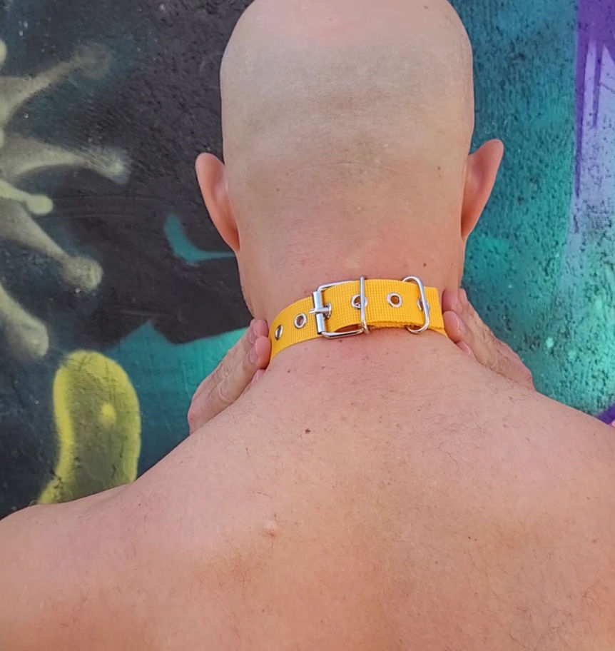 back side of a man wearing a yellow collar