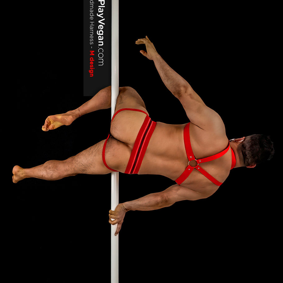 man's behind on a pole with red harness