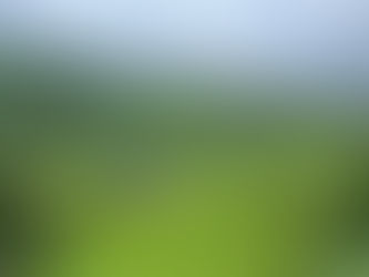 The Cameron Highlands