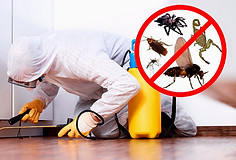 control-de-plagas-servicio-de-fumigacion