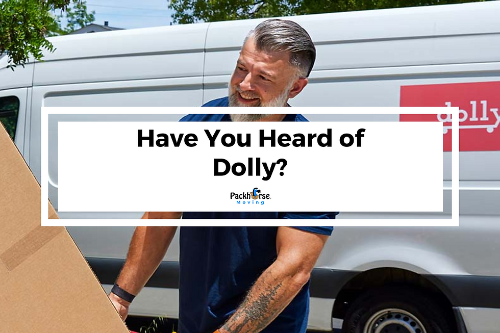 dolly heavy lifting