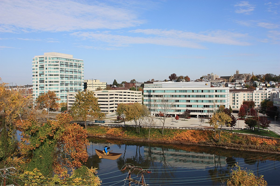 best conshohocken moving company packhorse moving