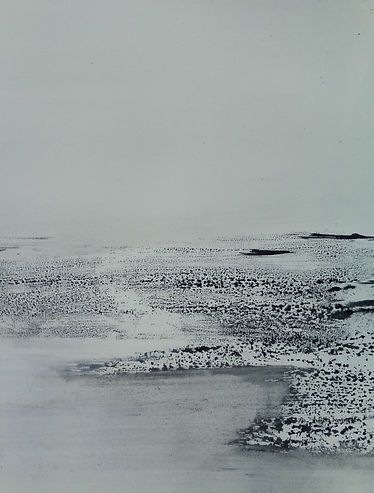 2020 .2. encre 50x60 .JPG