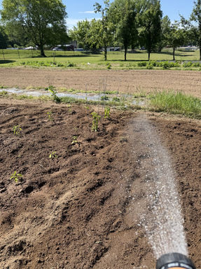 community garden being watered