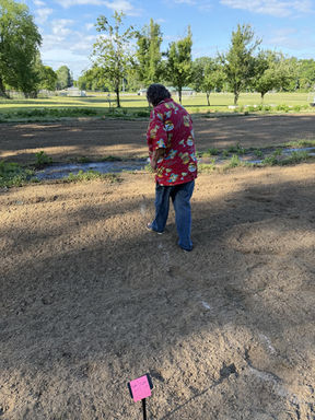 club member sprinkling seeds in the community garden