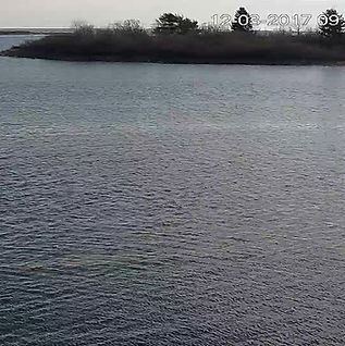 Wahwa_Pier Cam_main_20171203095056