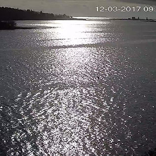 Wahwa_Pier Cam_main_20171203095046