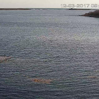 Wahwa_Pier Cam_main_20171203095107