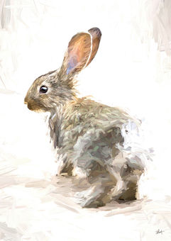 rabbit portrait
