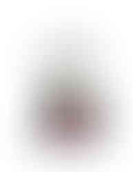 dibaq natural moments