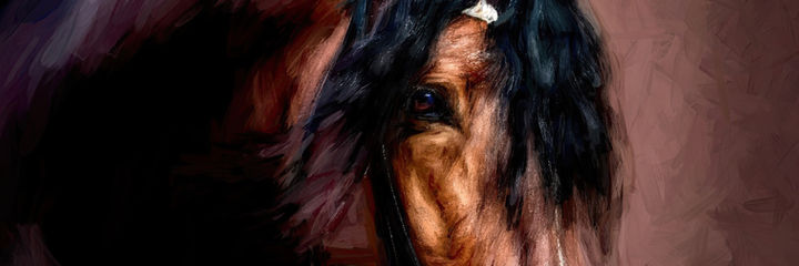 andalusian horse artwork