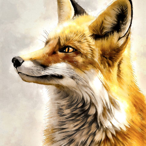 OH NO, ANOTHER RED FOX PORTRAIT!