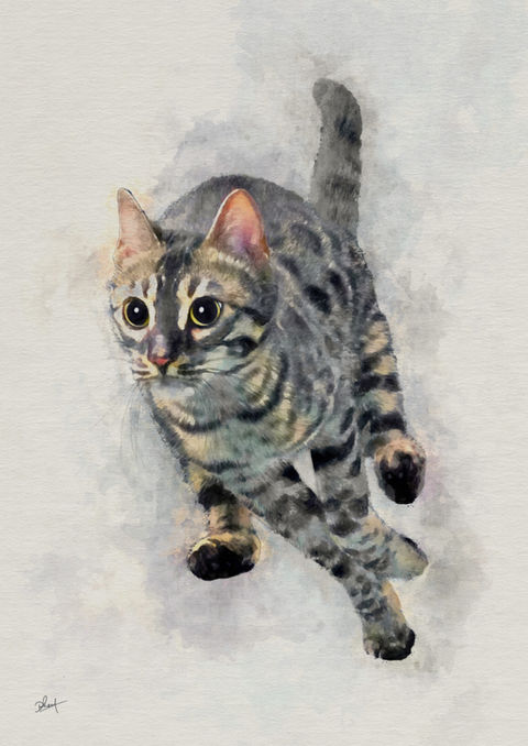 bengal cat artwork