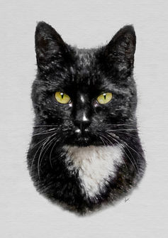black cat artwork