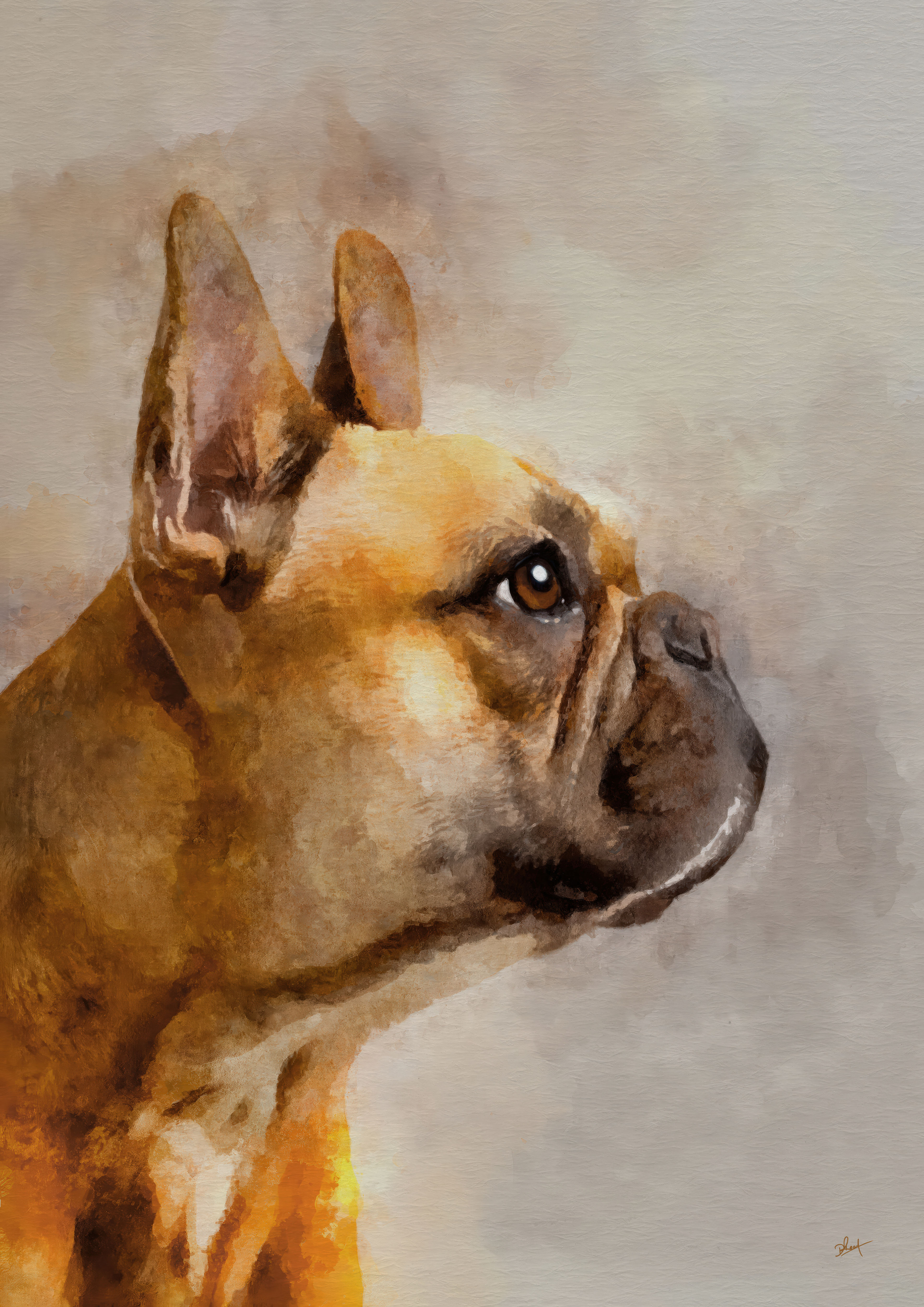 Framed French Bulldog Artwork