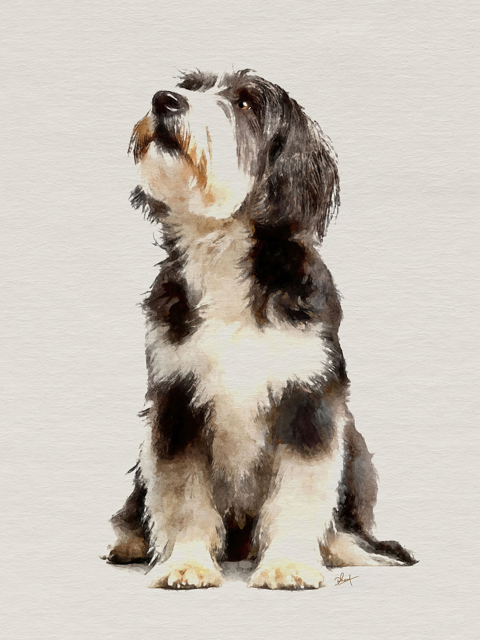 Bearded Collie artwork