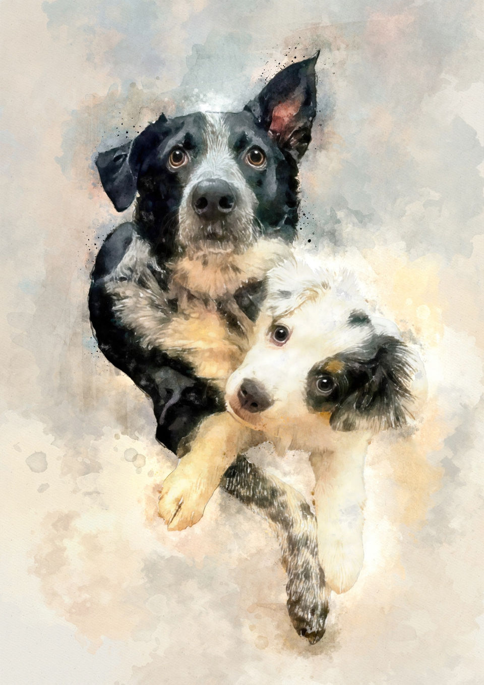 collie artwork
