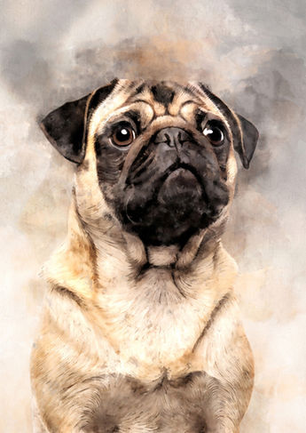 pug artwork