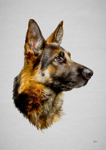 german shepherd artwork