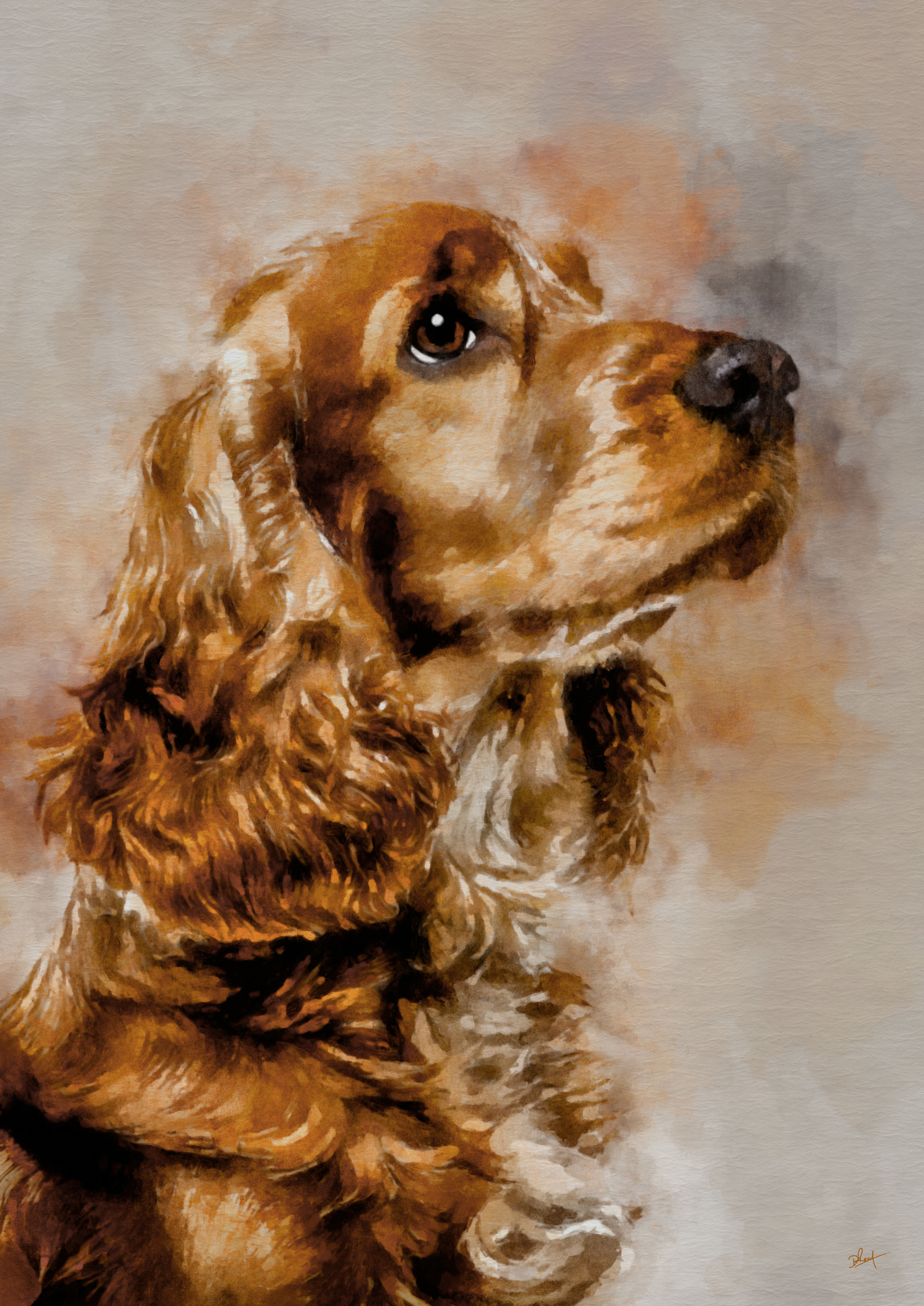 Framed Cocker Spaniel Artwork