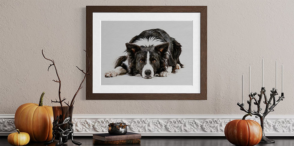 Framed Border Collie pet portrait in a natural wood frame
