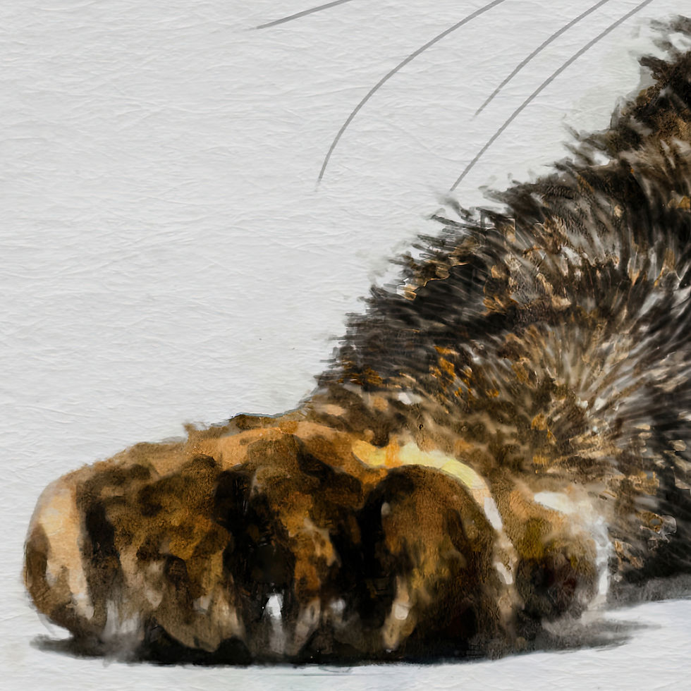 Thumbnail: Framed Tabby cat artwork paw