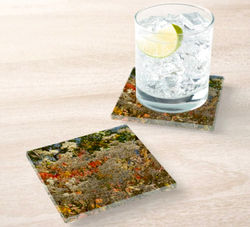 Custom Acrylic Coaster