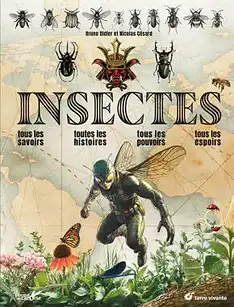 insectes.webp