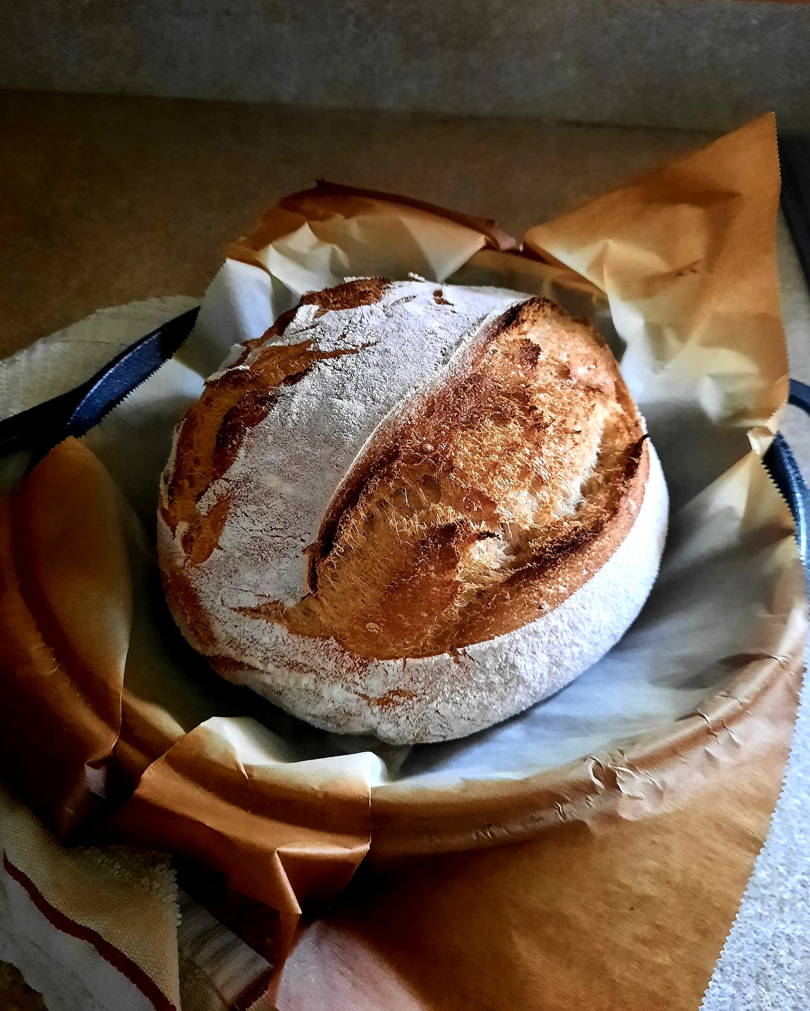 Regular Sourdough Loaf