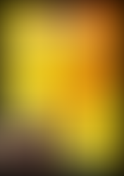 Nine Massive Home Rounds Coming in 2026!