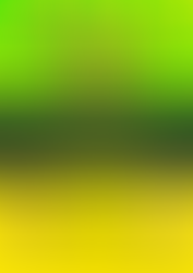 AUSSIE HOOPS TERM 2 REGISTRATIONS OPEN