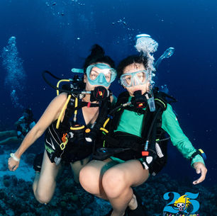 Kids Sea Camp Celebrates 25 Years of Family Dive Trips And Getting Youth PADI Certified
