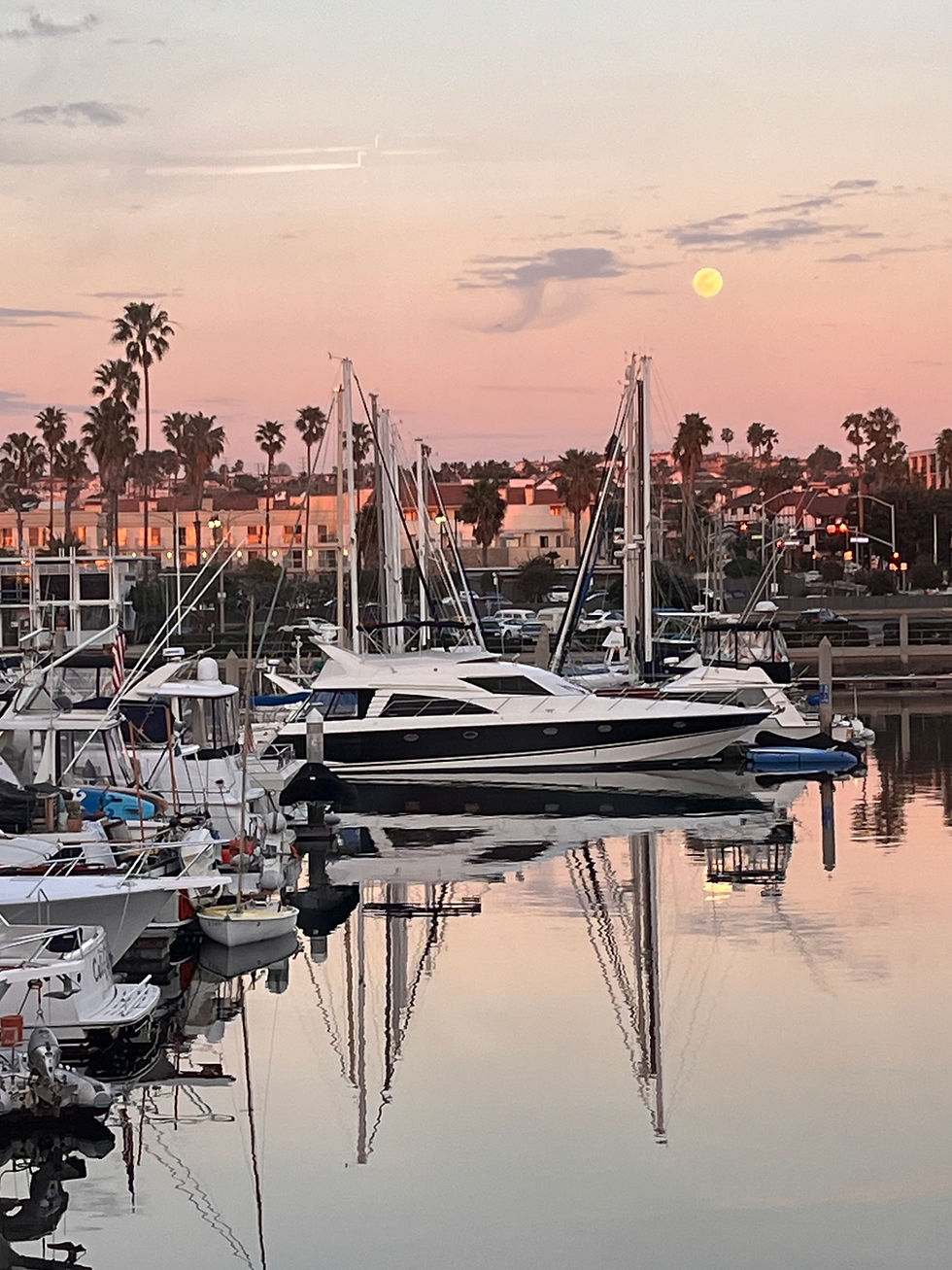 Moonrise over boats in the Portofino Hotel & Marina