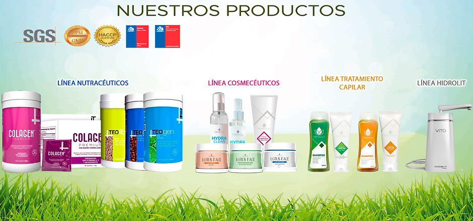 nuestros-productos-chile.jpg