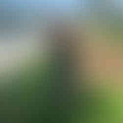 Max in his ugly Christmas rashie taking photos like mum