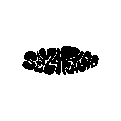 senzafuturo magazine.gif