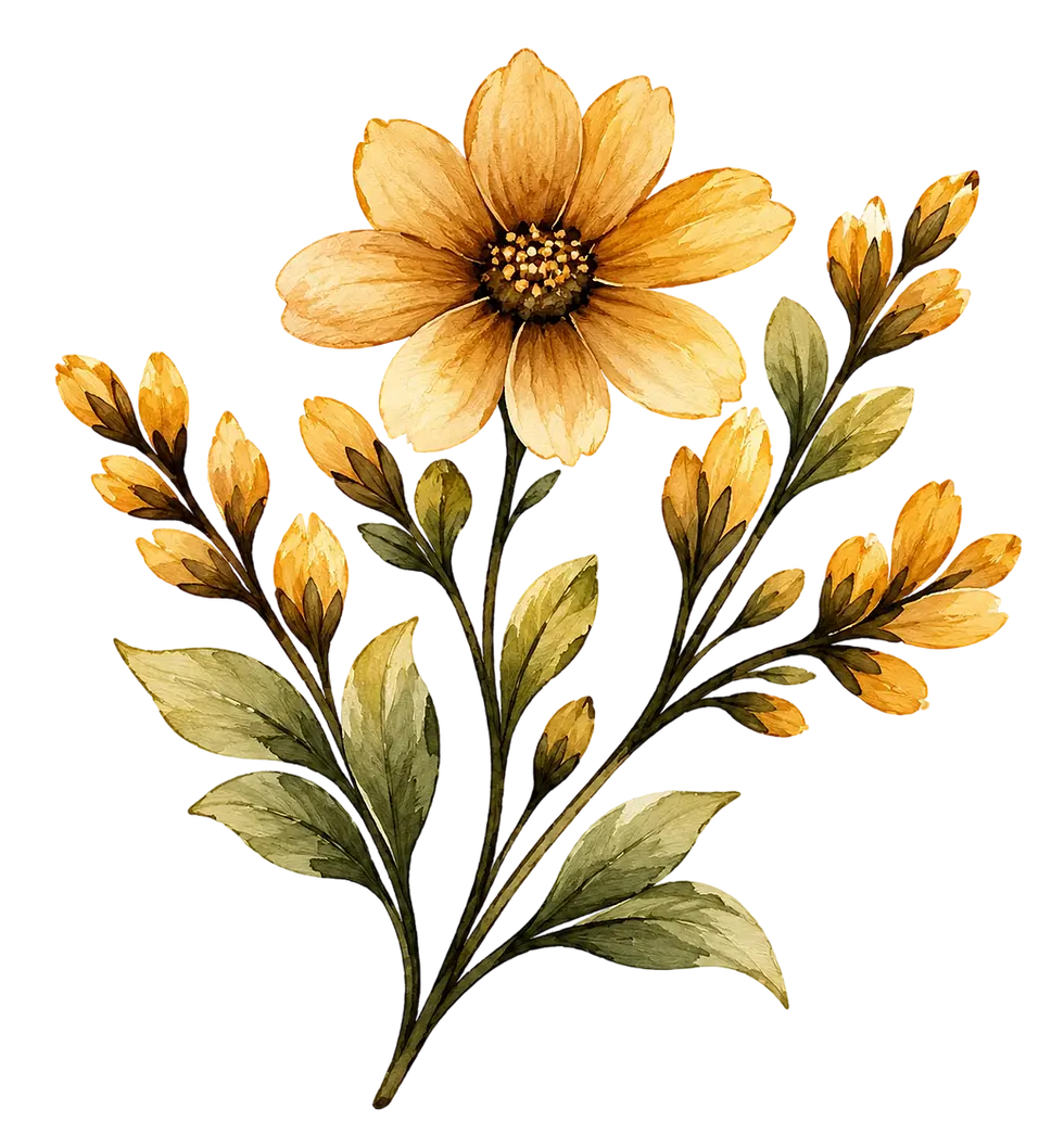 Watercolor illustration of a delicate yellow-orange flower with buds and leaves. Against a stark black background, it has an artistic and natural feel.